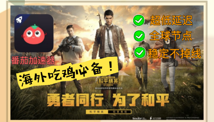 国外怎么用国内软件教程